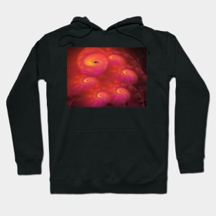 Oily #9: Spiral Shrimp B'Oily Hoodie